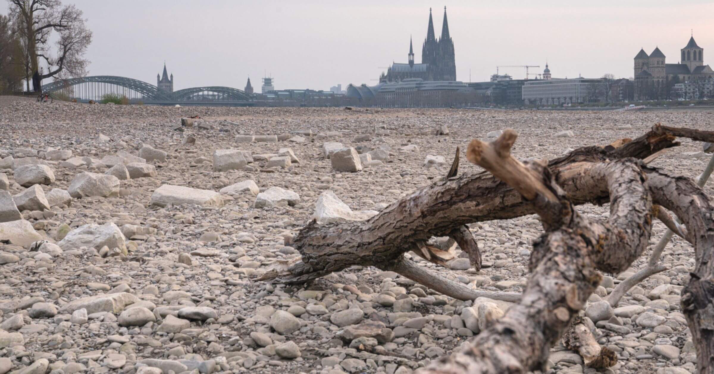 A dried out river with rocks and branches and a city skyline in the background
