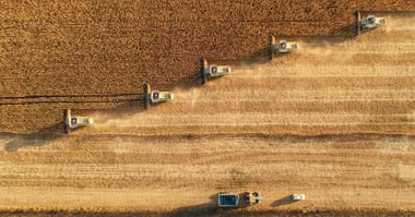 The Environmental Impact of the Food Industry