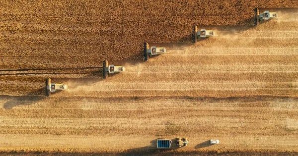 The Environmental Impact of the Food Industry
