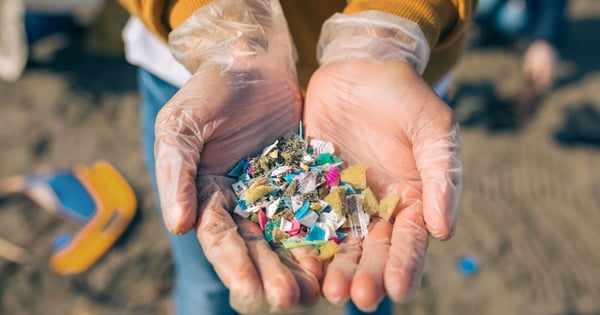 Microplastics Explained: What They Are, Why They Matter & What You Can Do