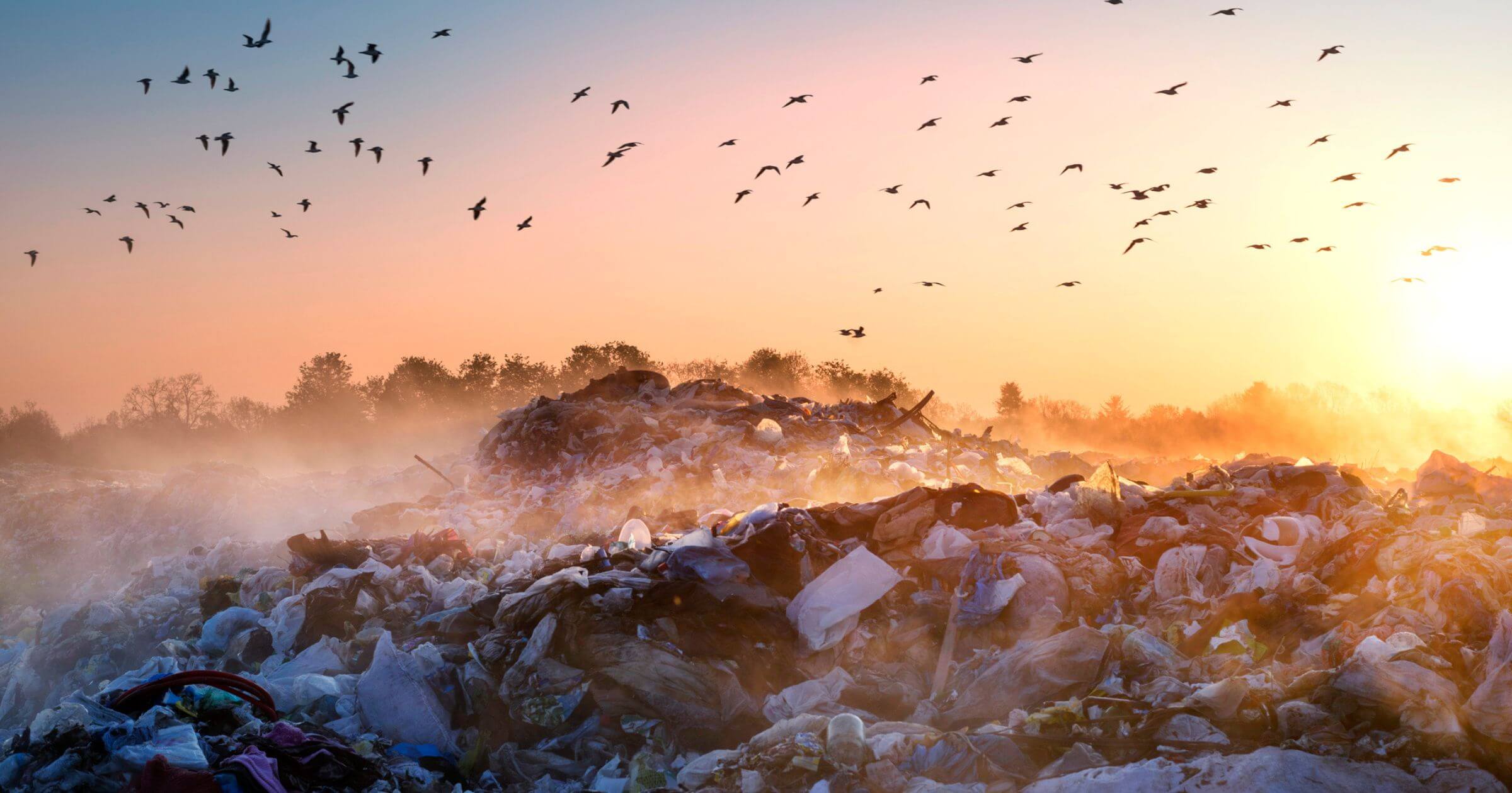 Birds flying over a dump site with lots of trash and a golden sunset above