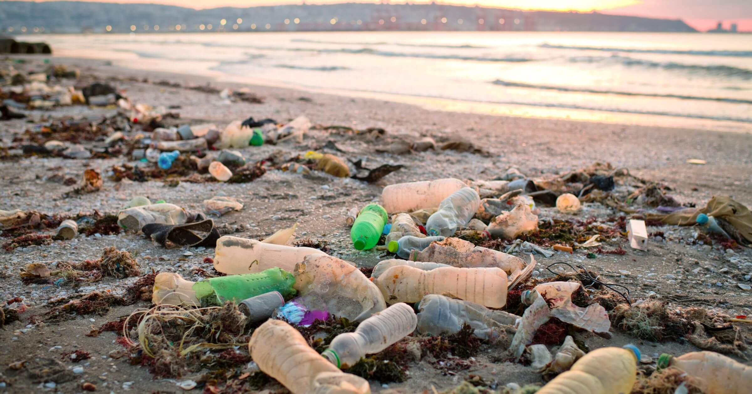 Piles of plastic bottles discarded on a beach with other plastic among seaweed in the background