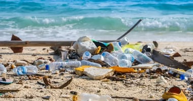 What Are The Alternatives to Single-Use Plastic? 