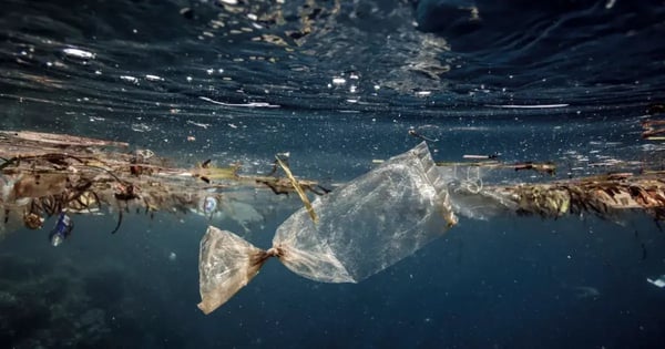 How Much Plastic is in the Ocean? 