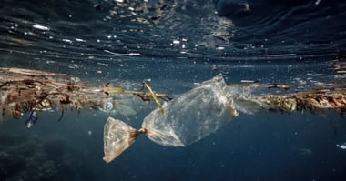 How Much Plastic is in the Ocean in 2024? 