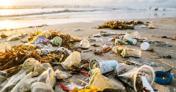 What Are the 6 Most Common Sources of Ocean Pollution?