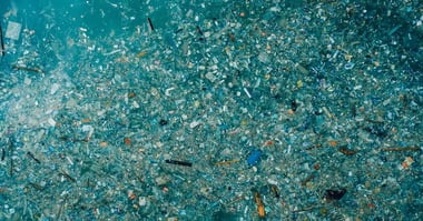 21 Plastic Pollution Facts to Be Aware of in 2024 | CleanHub