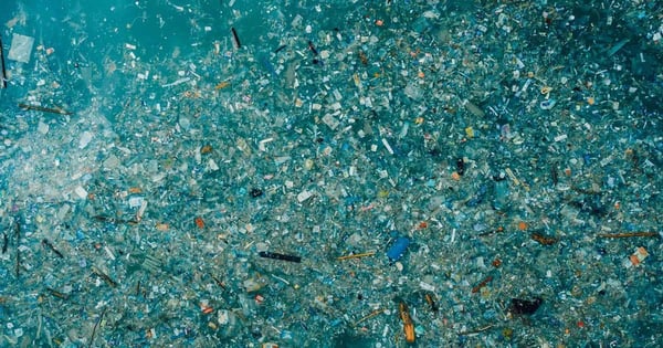 Everything You Need to Know About The Great Pacific Garbage Patch