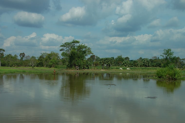 Symbolic Picture - Cambodia