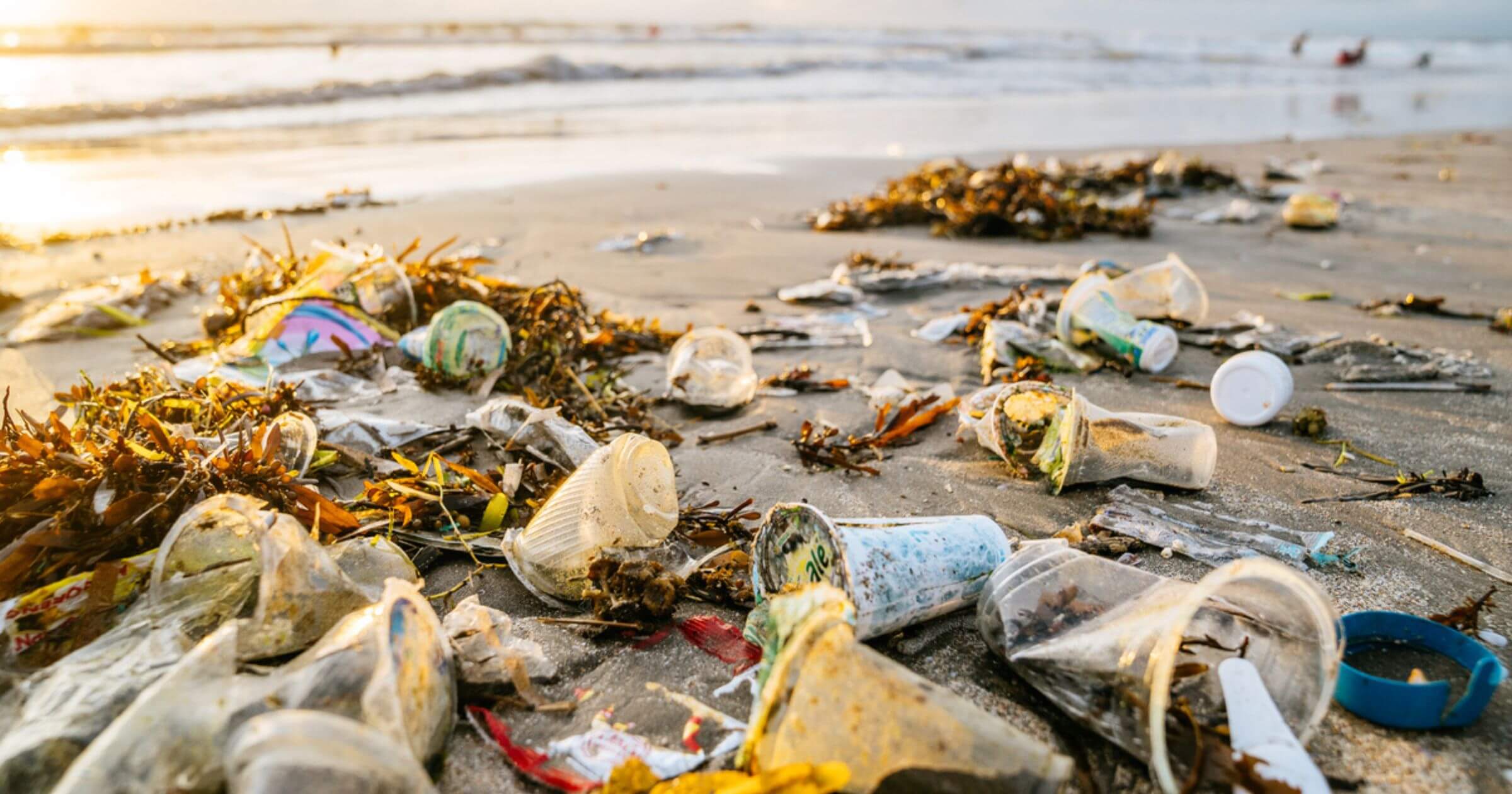 Plastic items washed up on a beach amongst seaweed with the ocean in the background