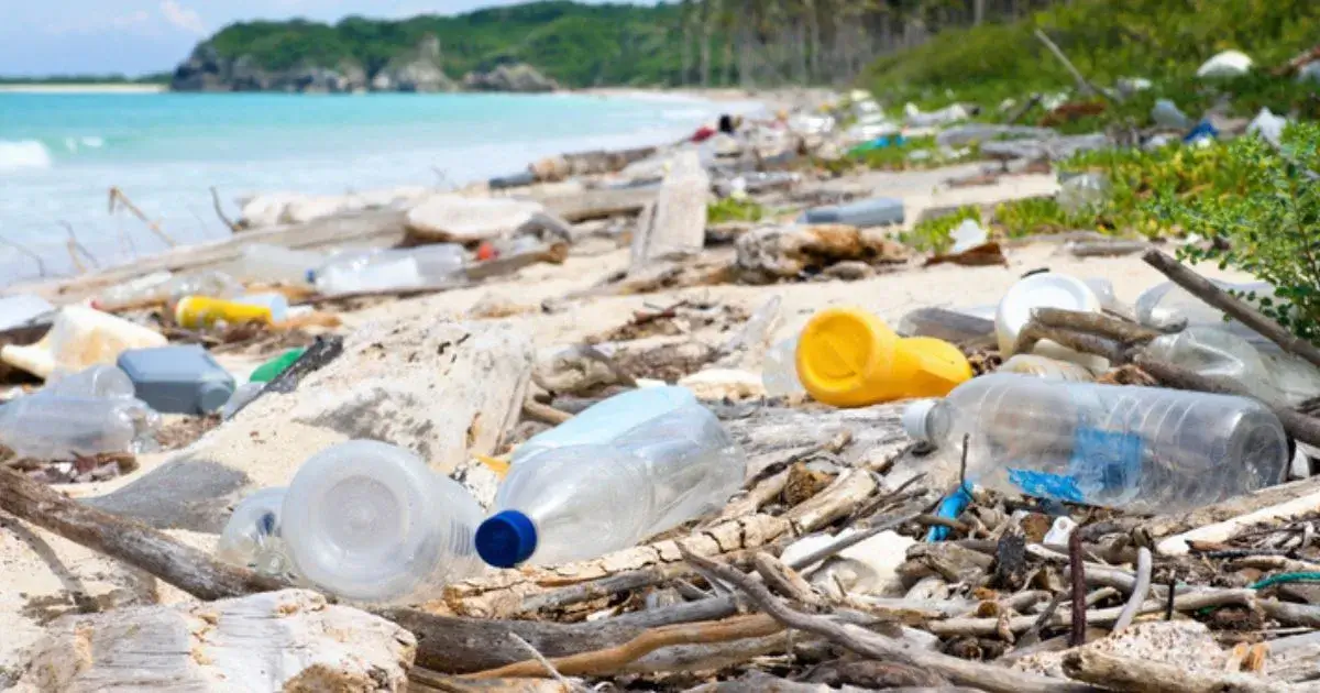 World Environment Day 2025: Tackling Plastic Pollution